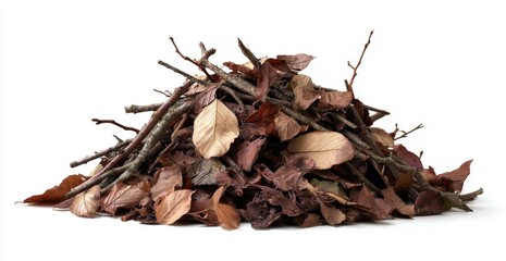 A pile of dried leaves and twigs creates a natural, textured composition against a clean white backdrop, evoking the essence of autumn and the changing seasons.