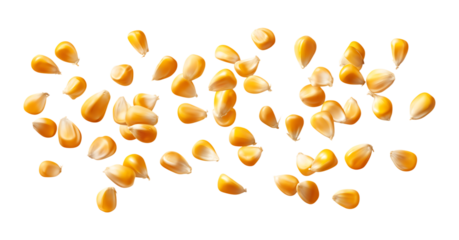 Falling or floating corn kernels isolated on a transparent background