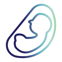Line Gradient Fetus In Womb