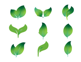Set of Green Nature-Themed Leaves Designs for Eco Vector Illustrations.