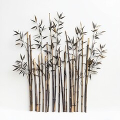 Obraz premium Dark bamboo stalks with leaves isolated on white background