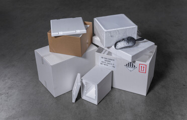 Dry ice shipping containers with open cooler showing scoop and sublimation effects