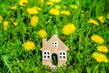 The symbol of the house stands among the yellow dandelions
