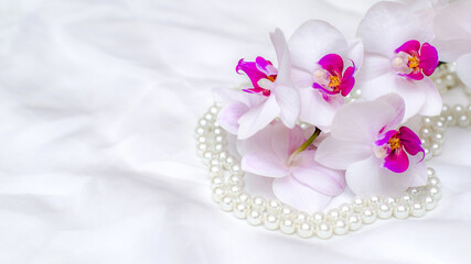 Plakat The branch of white orchids on white fabric background 