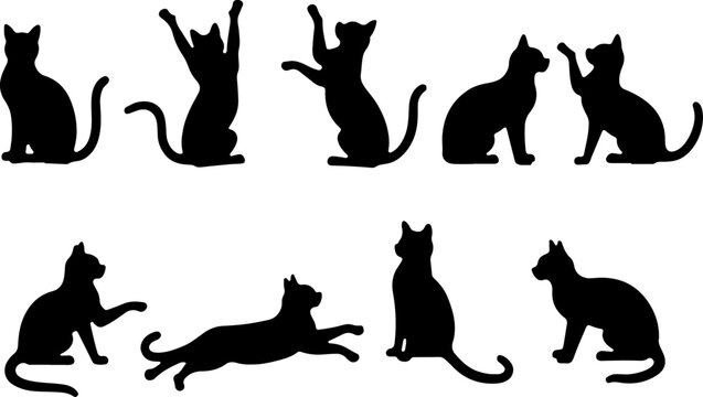 Cat Silhouettes in Various Sitting and Playing Poses