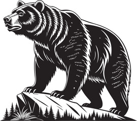 Obraz premium Grizzly bear standing on rocky outcrop black and white