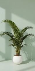 Obraz premium An areca palm in a white pot on a green background casts a shadow, creating a minimalist and decorative indoor scene with a fresh and modern style