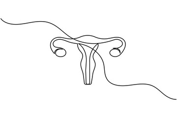 Fototapeta premium Minimalist one line drawing of a human uterus with fallopian tubes. Modern medical anatomy concept