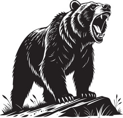 Obraz premium Roaring bear standing on rock aggressive wild animal