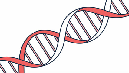 dna strand on white background