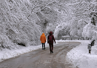 Two women on the road in winter