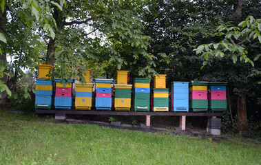 Colorful Beehives in a Garden.

