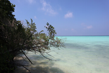 Clear turquoise waters meet the shore under a bright blue sky