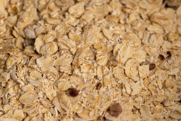 oatmeal porridge with dried berries and fruits, filled with instant oatmeal porridge with additives, close up