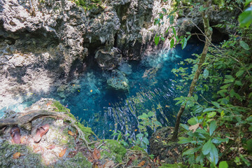 Natural cenote with clear turquoise water surrounded by rocky terrain and lush greenery