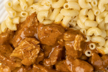 pasta and pork stew with sauce, homemade cooked meat dinner with pasta, close up
