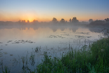 Obraz premium awesome foggy sunrise over the river with reflections tree in the water