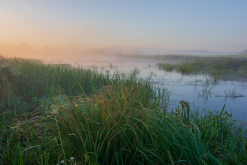morning mist over swamp and field