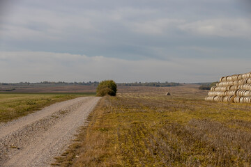 Obraz premium road and rectangular stacks of straw stacked together for long-term storage, stacked one on one stack of wheat straw after grain harvest