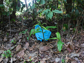 View of a plastic bag trash behind a plant in the forest. 