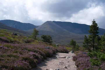 Well-trodden path through mountainous region in Scotland Cairngorms