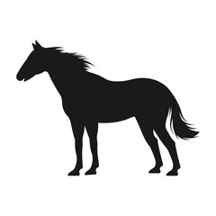 Diverse Animal Kingdom Vector Set