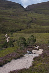 Well-trodden path through mountainous region in Scotland Cairngorms