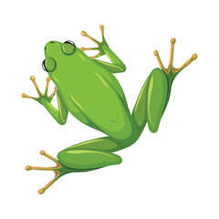 Diverse Animal Kingdom Vector Set