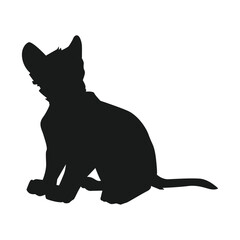 Diverse Animal Kingdom Vector Set art