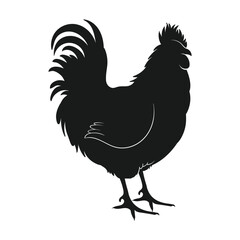 Diverse Animal Kingdom Vector Set art