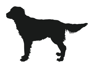 Diverse Animal Kingdom Vector Set art