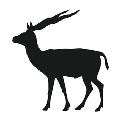 Diverse Animal Kingdom Vector Set art