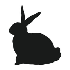 Diverse Animal Kingdom Vector Set art