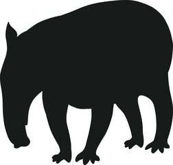 Diverse Animal Kingdom Vector Set art