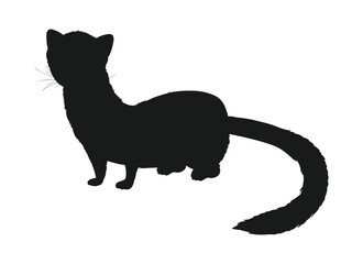 Diverse Animal Kingdom Vector Set art