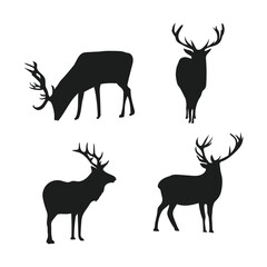 Diverse Animal Kingdom Vector Set art