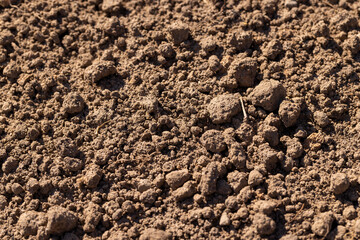 soil under the warm spring sun in a field, a plowed agricultural field prepared for planting in the...