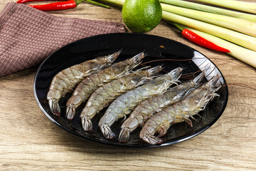 Raw fresh King Tiger prawn