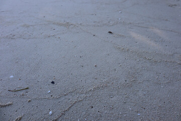 The surface is smooth sand with fine sand grains and evenly distributed interspersed with small shell fragments on the beach.