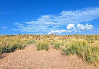 Dry summer dunes at Yyteri Beach, Pori, Finland
