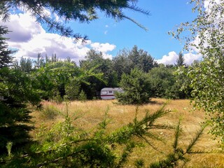 A Serene and Beautiful Landscape Featuring an RV Nestled Amongst Greenery and Open Field