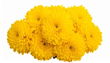 bouquet of yellow flowers