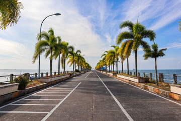 palm trees on the bridge on the beach