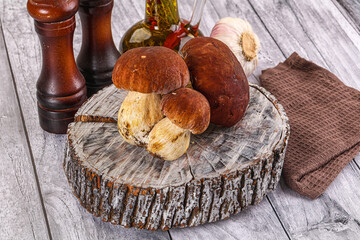 Raw natural wild porchini mushrooms