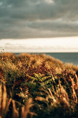 Golden Summer Sunset over Woolacombe Beach, Devon