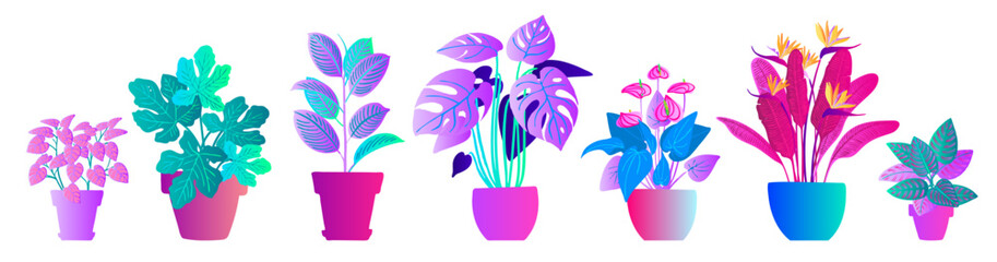 Neon Potted Houseplants – Colorful Vector Set of Indoor Plants in Gradient Style