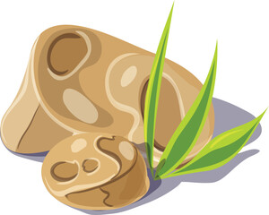 vector illustration of a cream colored rock with green grass