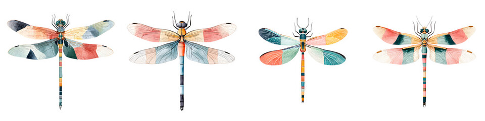 Watercolor Dragonfly Set - Colorful Insect Illustrations