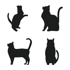 Diverse Animal Kingdom Vector Set