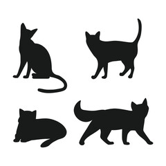 Diverse Animal Kingdom Vector Set